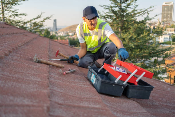 Best Hoarding Cleanup  in USA